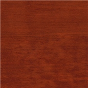 General Finishes Waterbased Dye Stain Cinnamon