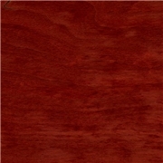 General Finishes Waterbased Dye Stain Empire Red