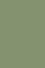 General Finishes Milk Paint Basil Green