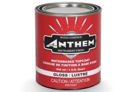 ANTHEM Instrument Finish - Top Coat